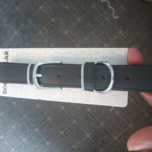 Padded Leather Dog Collar with Silver Buckle